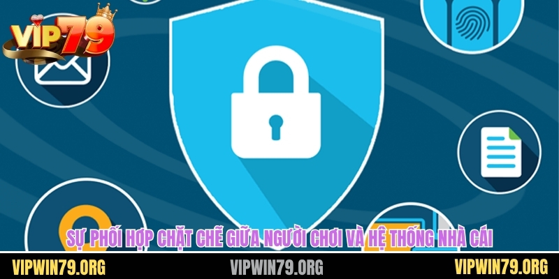 Sự phối hợp chặt chẽ giữa người chơi và hệ thống nhà cái