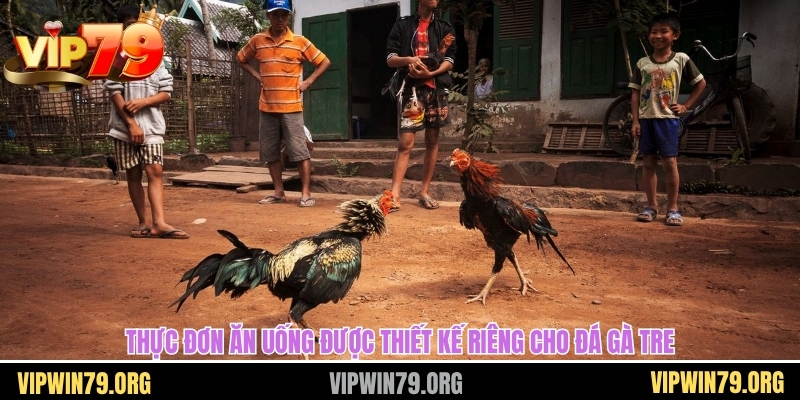 Thực đơn ăn uống được thiết kế riêng cho đá gà tre